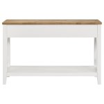 Hollis 2-drawer Wood Entryway Console Table Brown and White