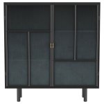 Dalia 2-door Accent Storage Cabinet with Shelving Black