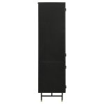 Santiago 4-door Metal Tall Storage Cabinet Matte Black