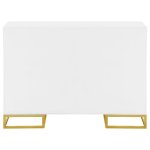 Elsa 2-door Wood Storage Accent Cabinet White and Gold