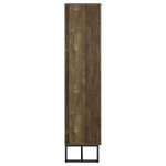 Carolyn 2-door Engineered Wood Accent Cabinet Rustic Oak